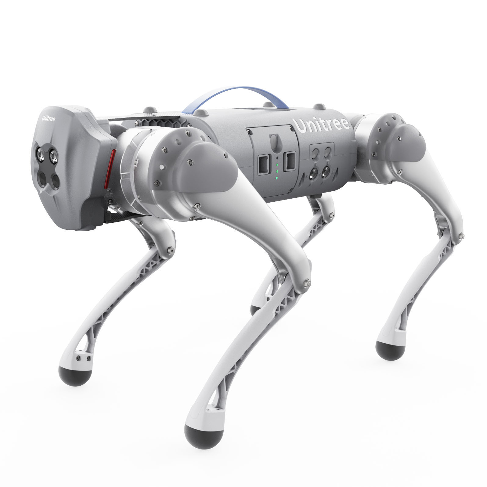 Quadruped Robot
